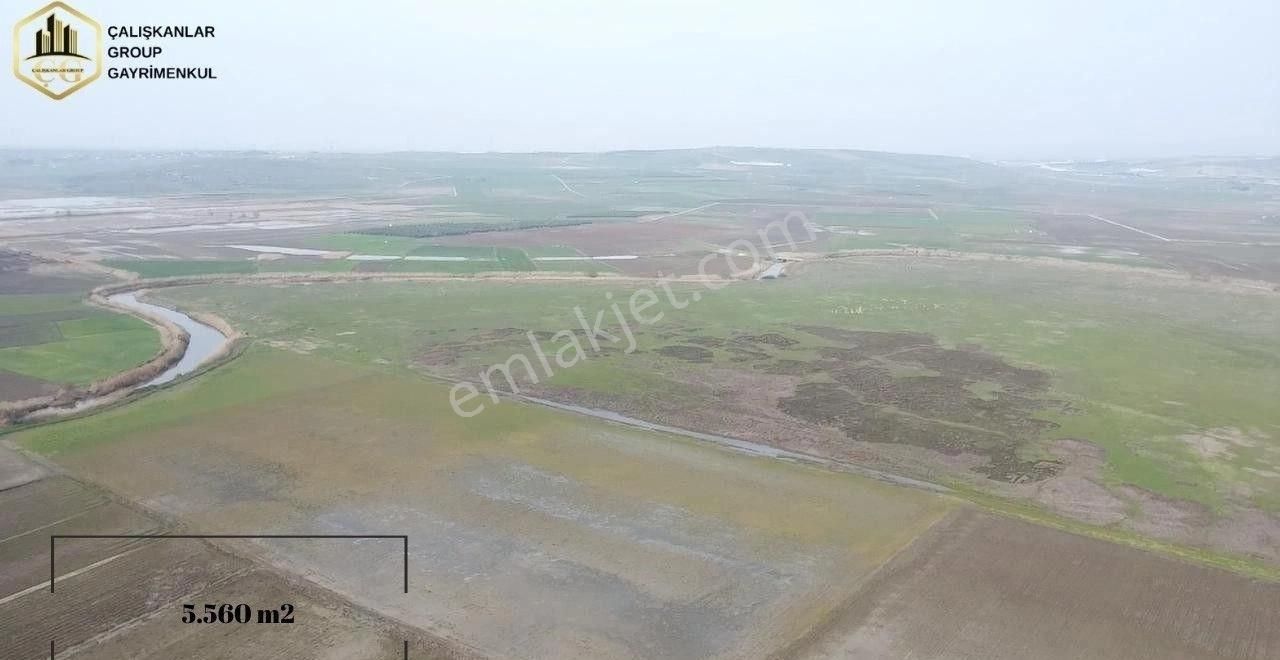 Çalışkanlar Gayrimenkulden 5560 M2 Satılık Tarla