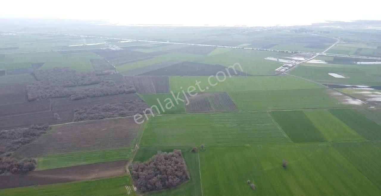 Çalışkanlar Gayrimenkulden 15560 M2 Satılık Tarla