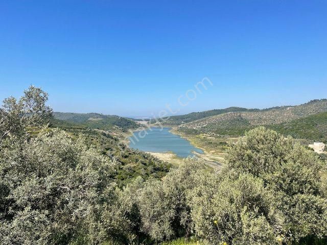 020-baraj Deniz Manzaralı Orman Cepheli Zeytinlik - Görsel 20