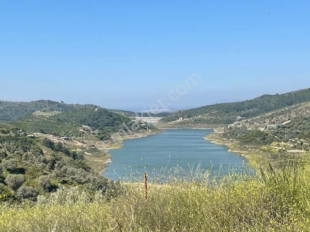 020-baraj Deniz Manzaralı Orman Cepheli Zeytinlik - Görsel 5