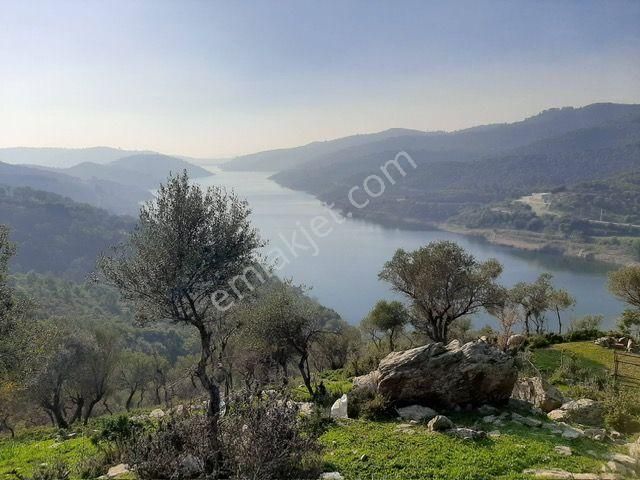 020-baraj Deniz Manzaralı Orman Cepheli Zeytinlik - Görsel 25