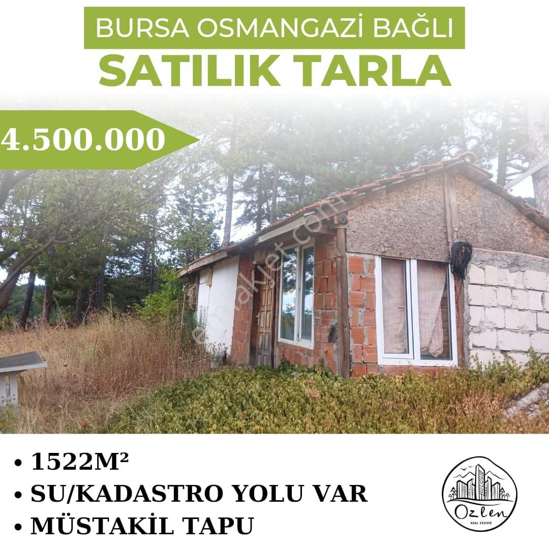 Bursa Osmangazi Bağlı Satılık Tarla