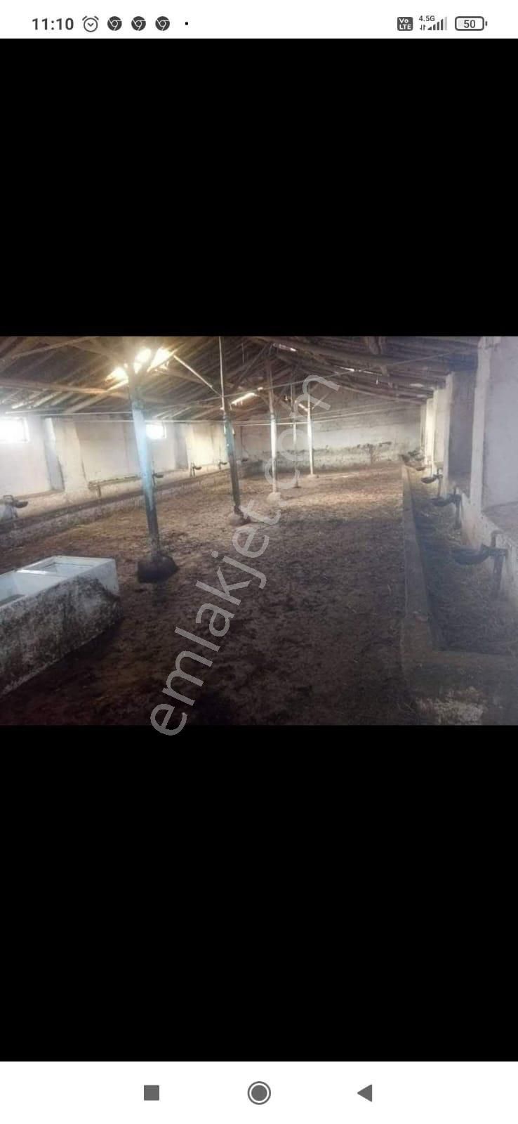 Çavdar Emlak’tan Satılık Çiftlik Ve Evi - Görsel 2