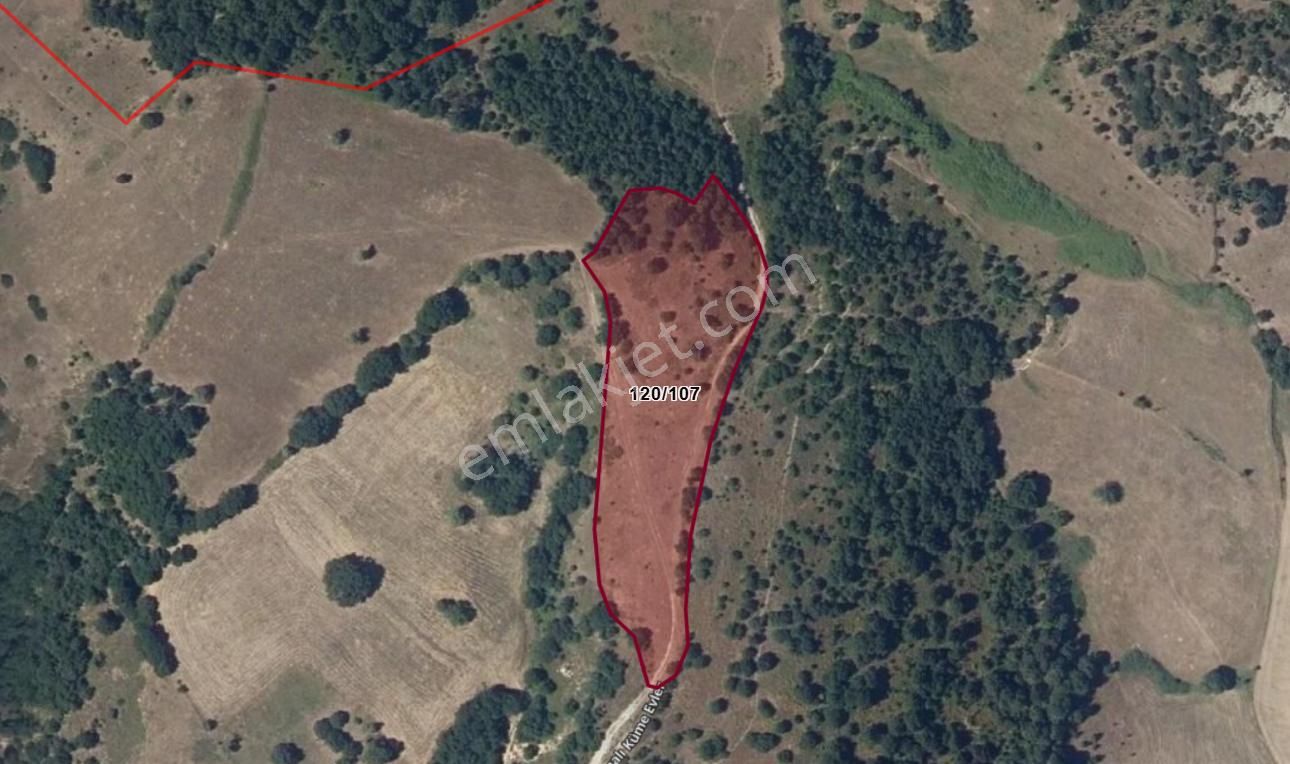 Çanakkale Biga Kazmalı Da 7259m2 Satılık Tarla