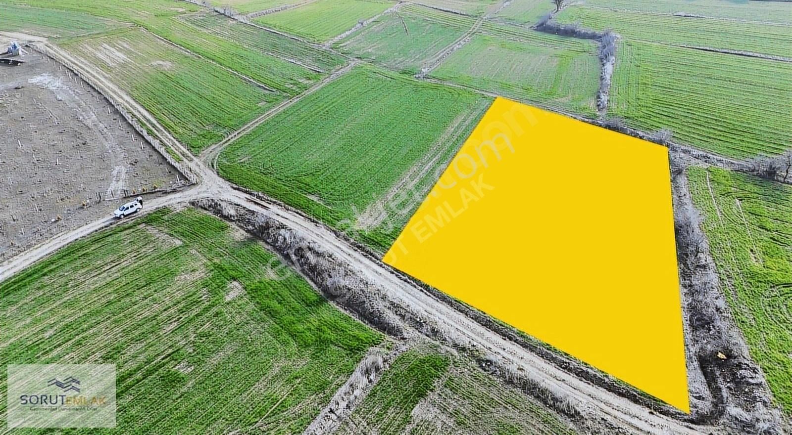 Mecidiye Resmi Yola Cephe Satılık 2.450 M2 Parsel