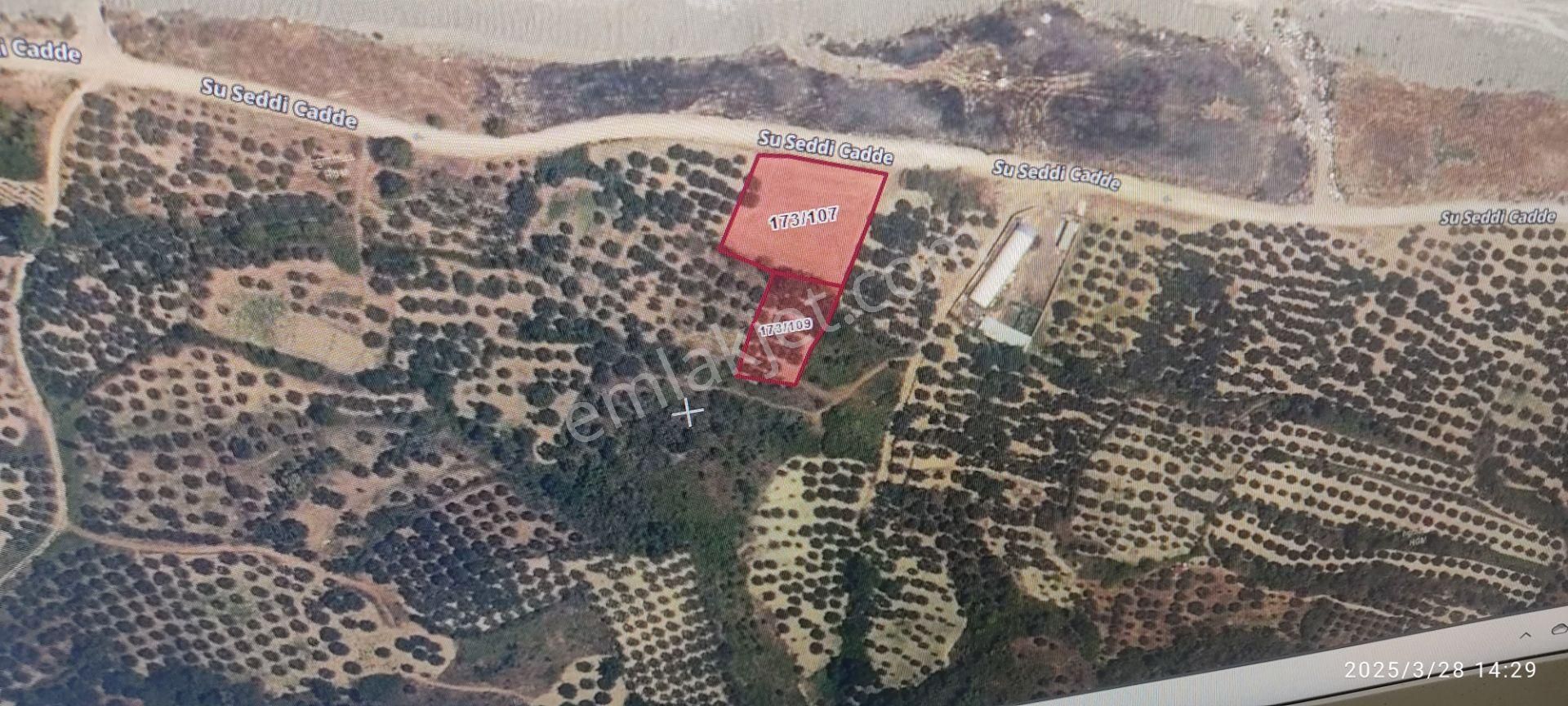 Tekirdağ Şarköy Hoşköyde 400+400+400+400+ Metre 600,000 Tl Hisse Satılık