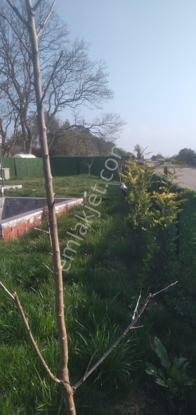 Koceli Kandıra'da Muhteşem Tıny House Fırsatını Kaçırmayın! - Görsel 23