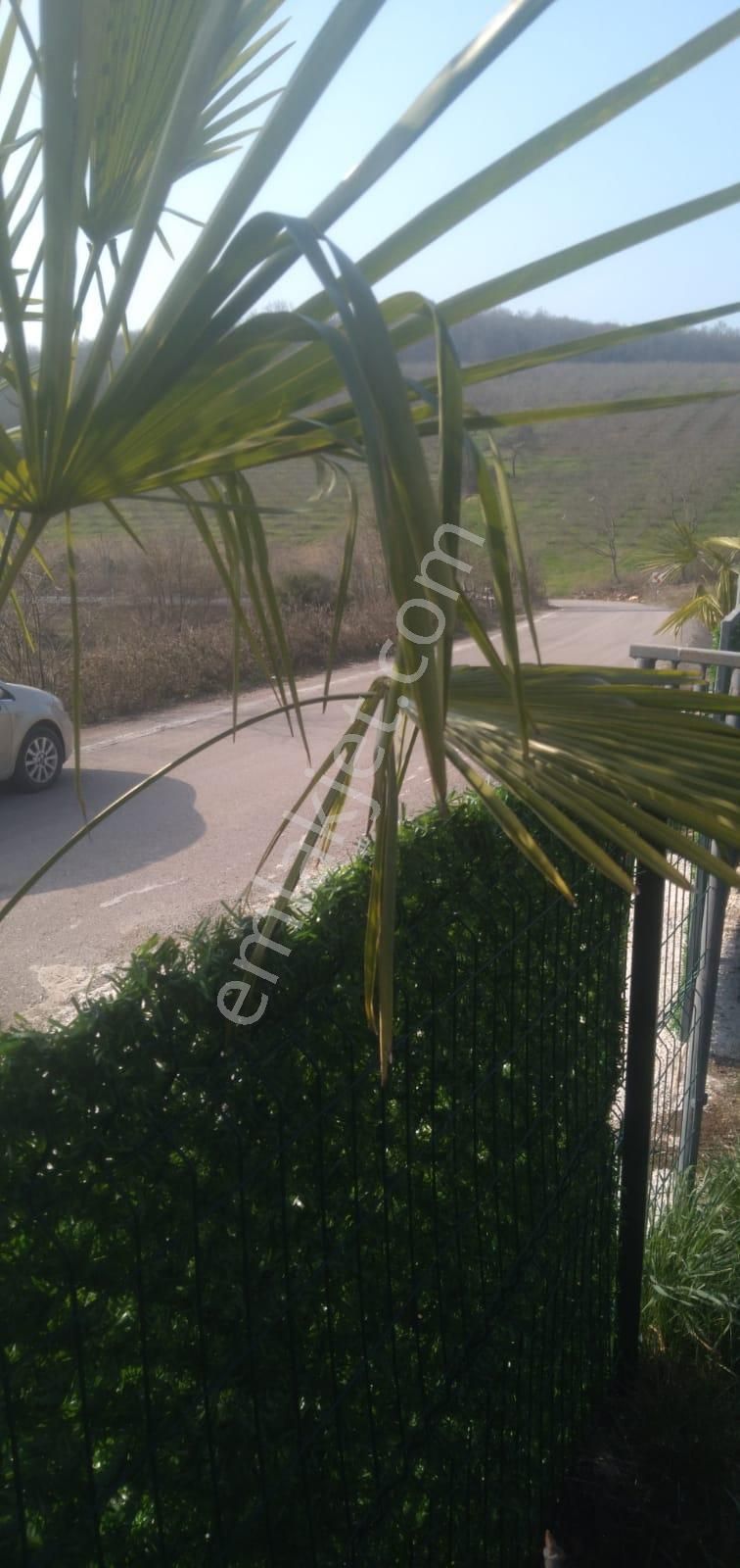 Koceli Kandıra'da Muhteşem Tıny House Fırsatını Kaçırmayın! - Görsel 21