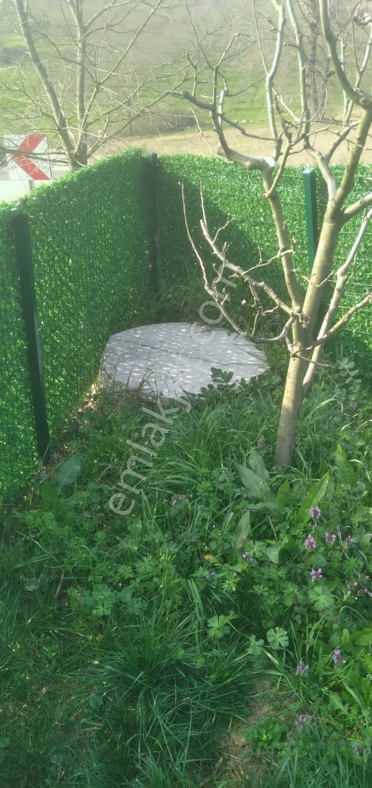Koceli Kandıra'da Muhteşem Tıny House Fırsatını Kaçırmayın! - Görsel 24