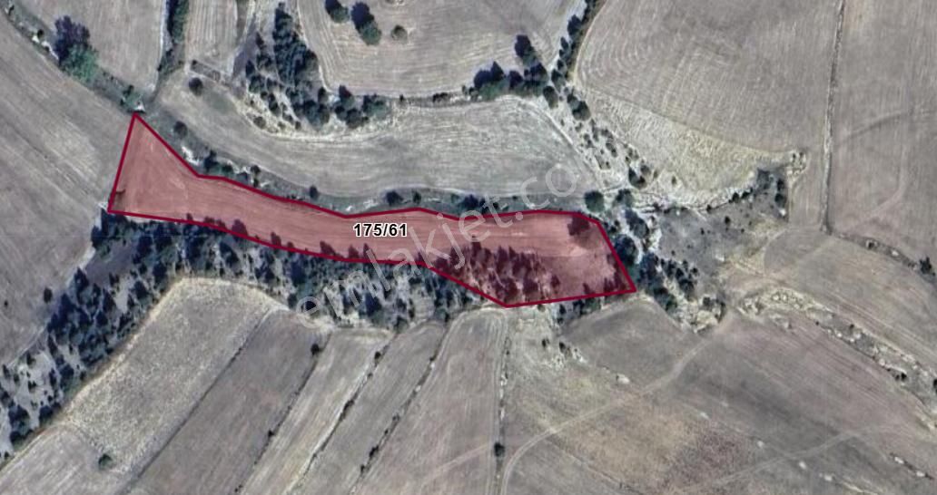 Kütahya Aslanapa Tokul Köyünde 5.354 M² Tarlamız Satılıktır.