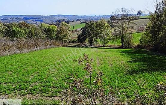 Süper Konumda Köy İçi Yatırımlık %5 İmarlı Verimli Arazi