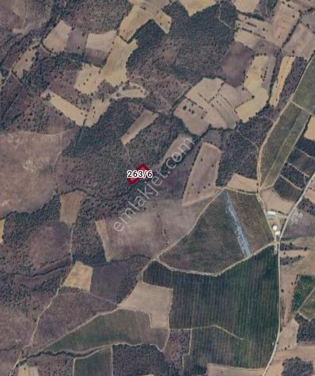 Uşak Eşme Takmak Köyü'nde Satılık 3735 M2 Tarla