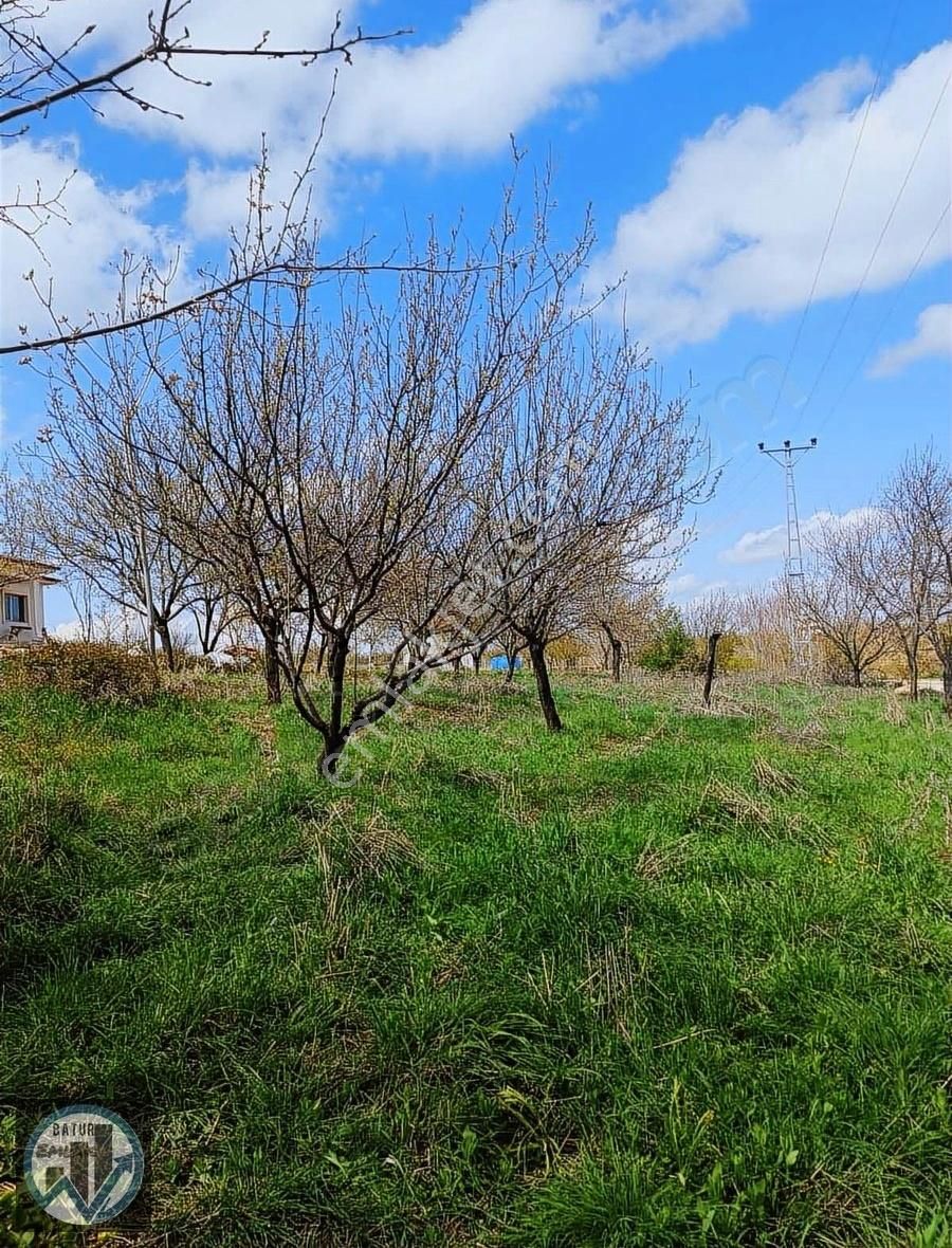 Batur Gayrimenkul'den Sütlüce'de Satılık Tarla