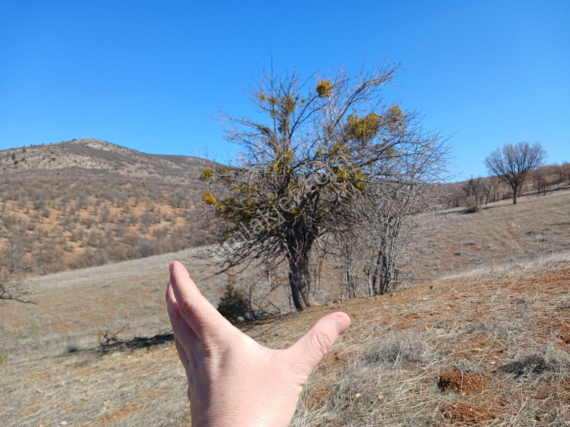 Konya Güneysınır Kayaağzı 102 M² Tarla Satılıktır