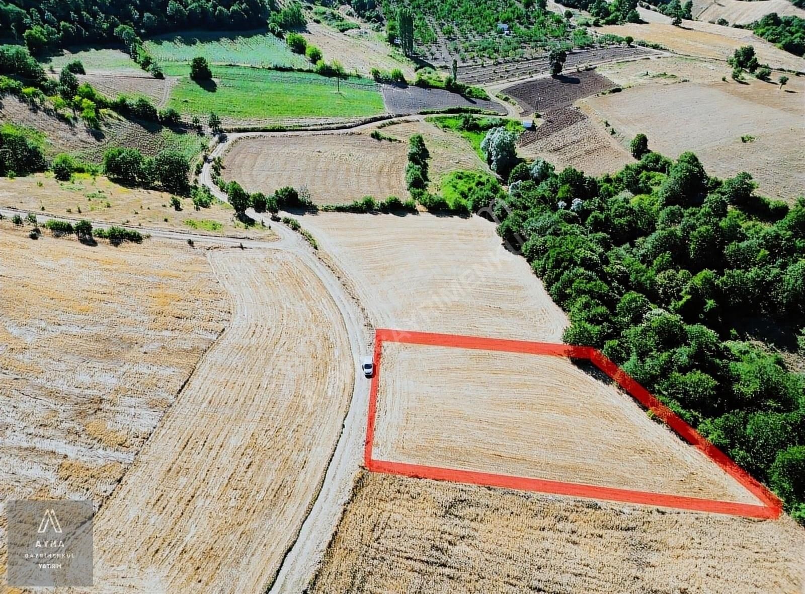 Ayma'dan Beypınarda Evkaya Mevkiinde Satılık 4.485 M2 Tek Tapu