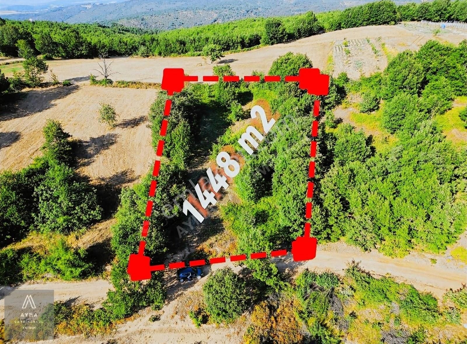 Ayma'dan Fırsat İnegöl Cemiyet Mh 1448 M2 Tek Tapu Satılık Tarla