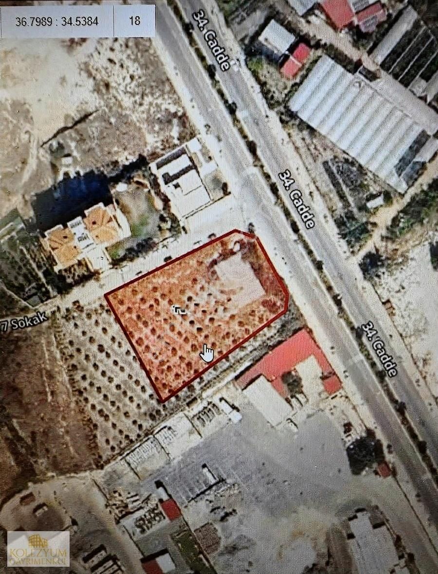 Kolezyum Dan 34.cadde Cepheli Ticari Konut Fırsat Satılık Arsa