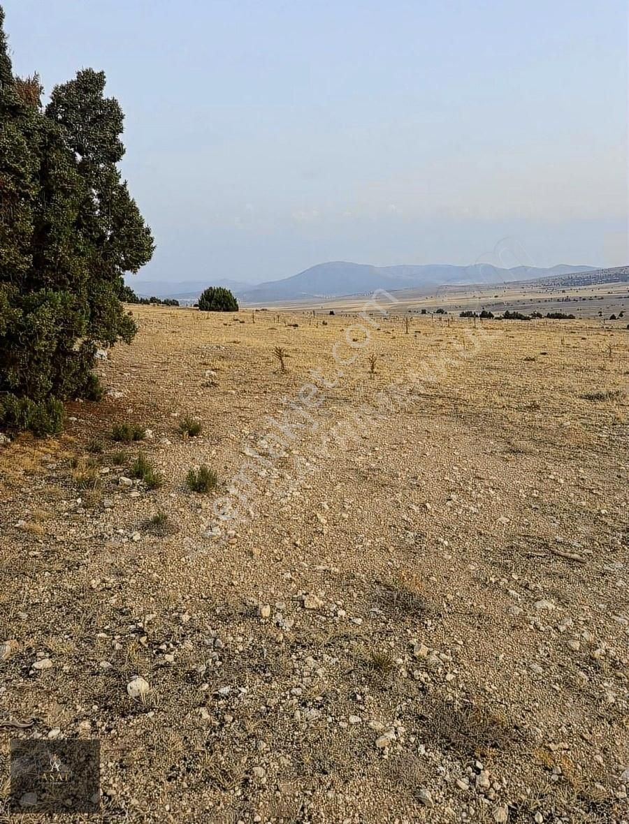 Asaf Gayrimenkul'den Yatırımlık Tarla - Görsel 3