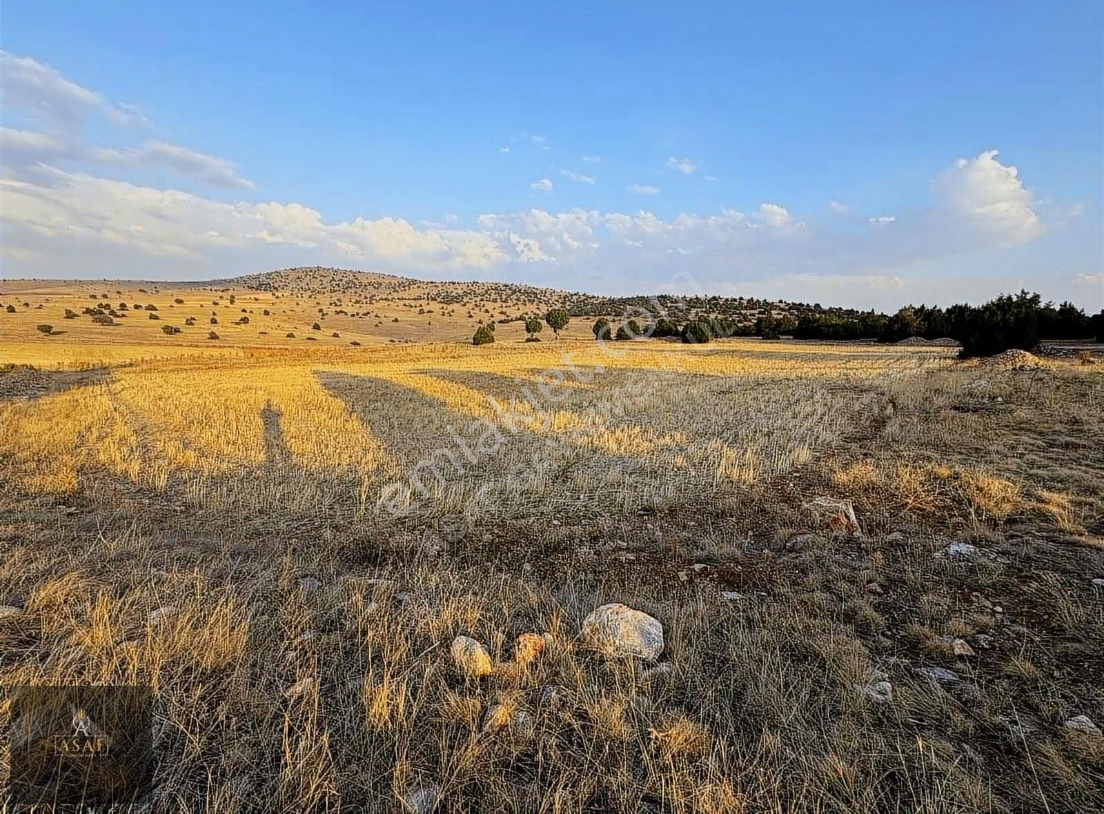 Asaf Gayrimenkul'den Yatırımlık Tarla Köye 200 Metre - Görsel 22