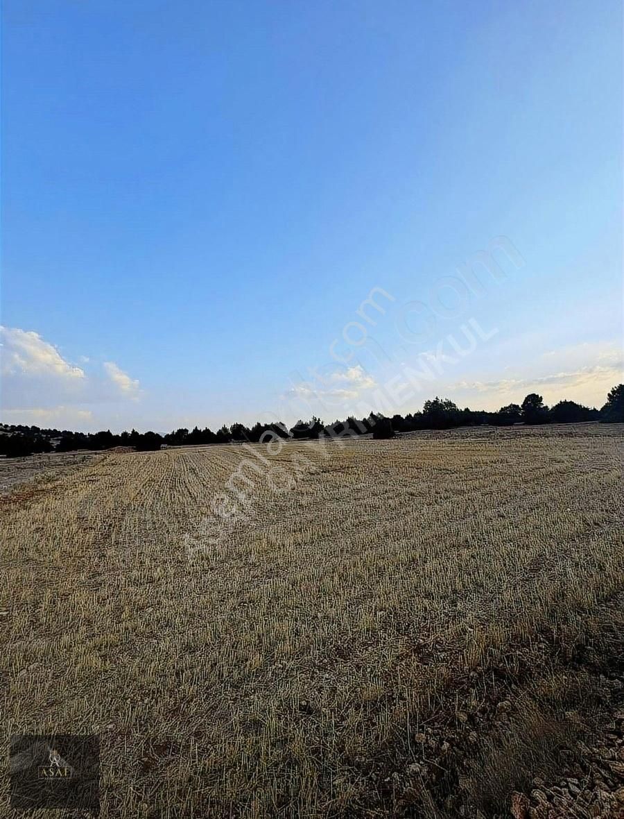 Asaf Gayrimenkul'den Yatırımlık Tarla Köye 200 Metre - Görsel 7