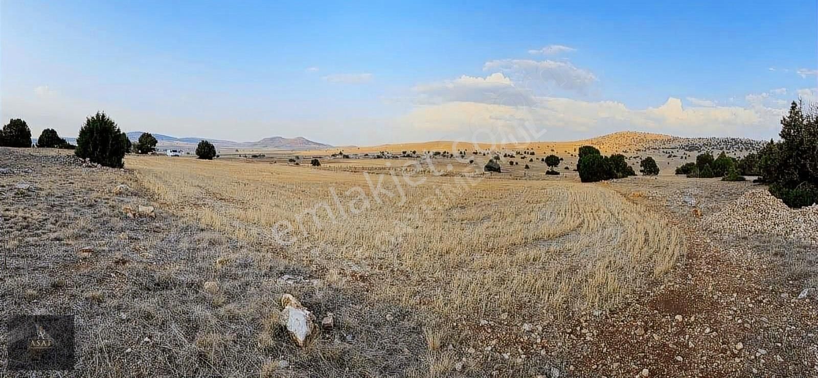 Asaf Gayrimenkul'den Yatırımlık Tarla Köye 200 Metre - Görsel 15