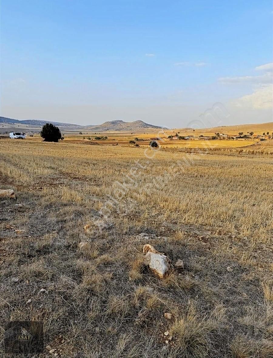 Asaf Gayrimenkul'den Yatırımlık Tarla Köye 200 Metre - Görsel 9