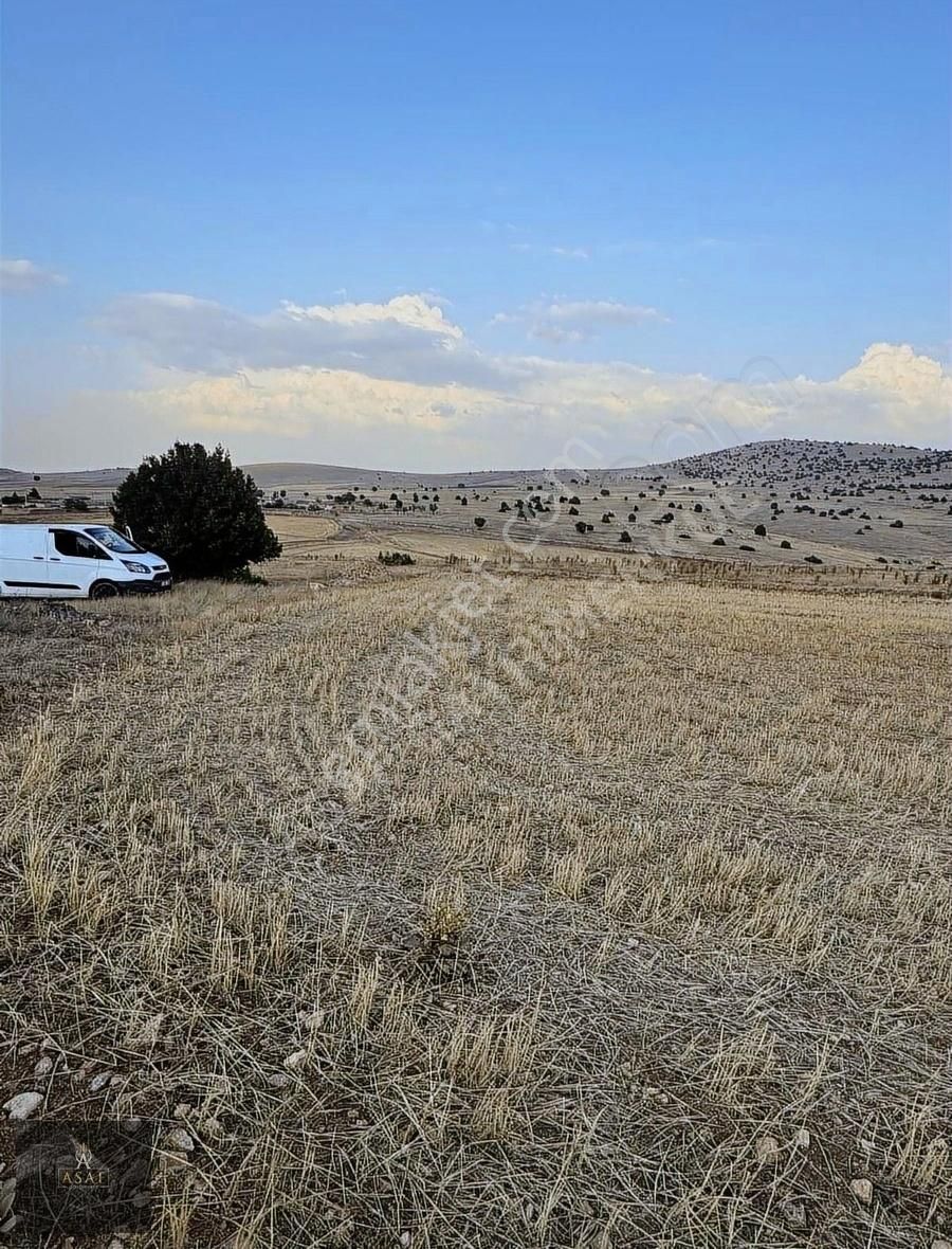 Asaf Gayrimenkul'den Yatırımlık Tarla Köye 200 Metre - Görsel 4