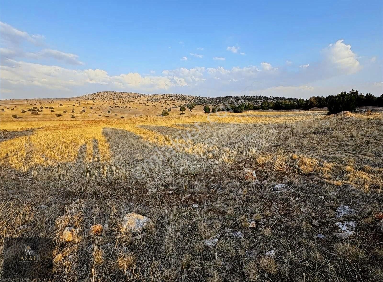 Asaf Gayrimenkul'den Yatırımlık Tarla Köye 200 Metre - Görsel 11