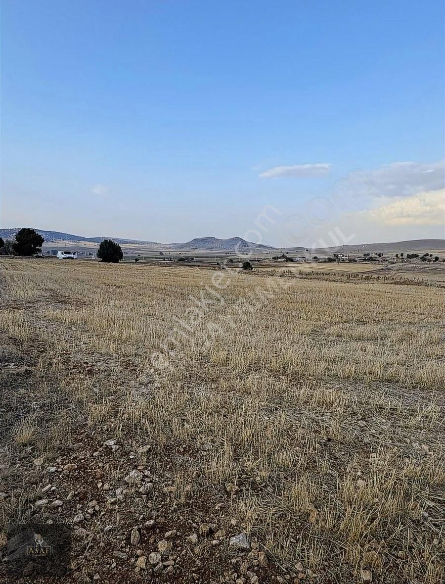 Asaf Gayrimenkul'den Yatırımlık Tarla Köye 200 Metre - Görsel 16