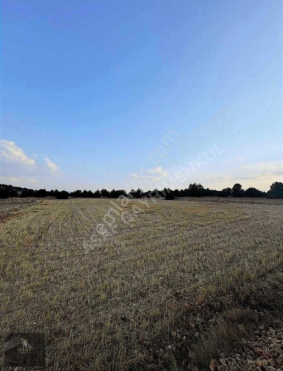 Asaf Gayrimenkul'den Yatırımlık Tarla Köye 200 Metre - Görsel 6