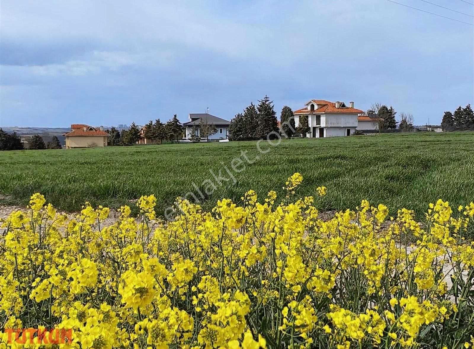 İmarlı Arsa Tapulu 250m Son Parsel - Görsel 4