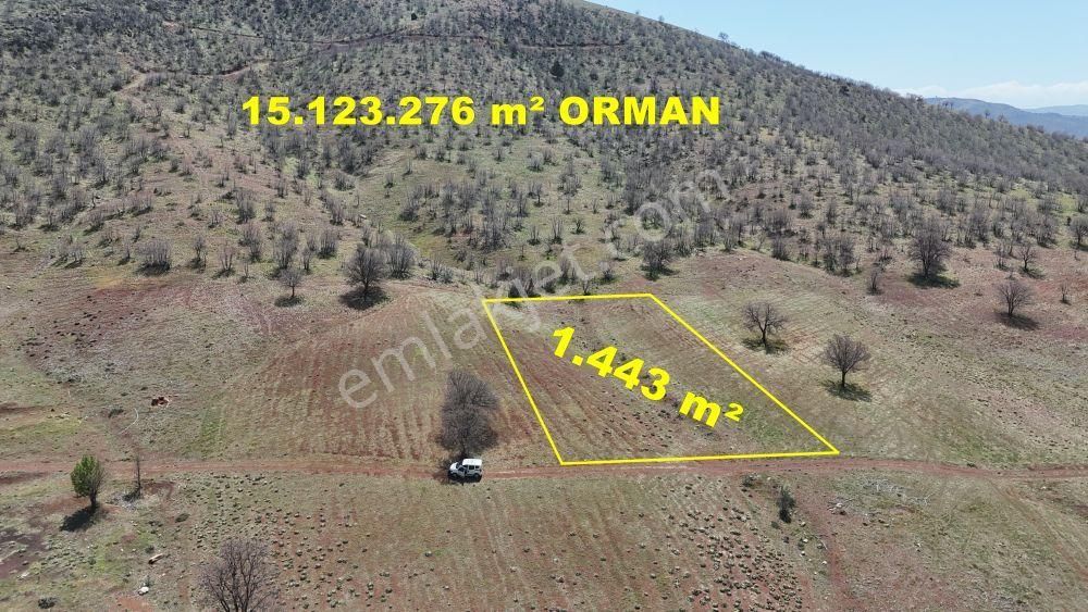 Konya / Güneysınır / Kızılöz Mahallesinde 1.443 M² Müstakil Tapulu Tarla