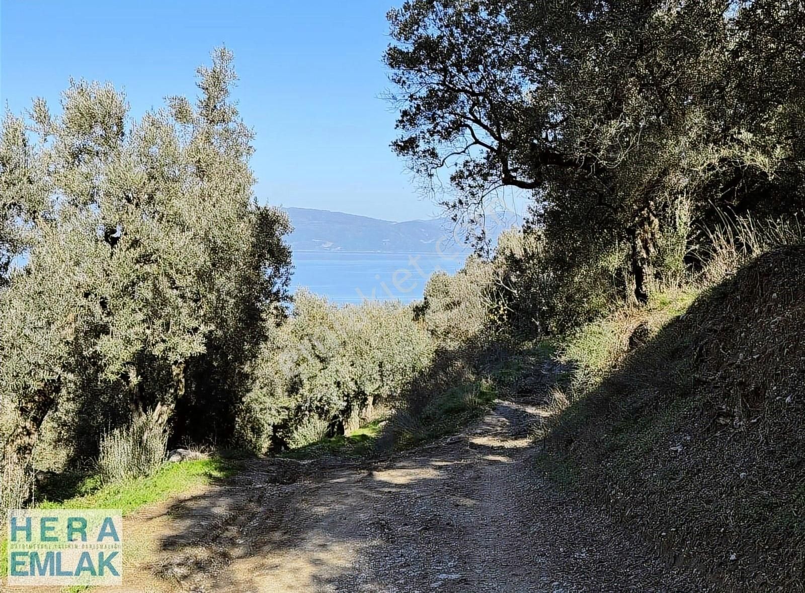 Kelepir Köy İçi Hobi Bahçesi, Göl Manzaralı, Resmi Yola Cephe - Görsel 8