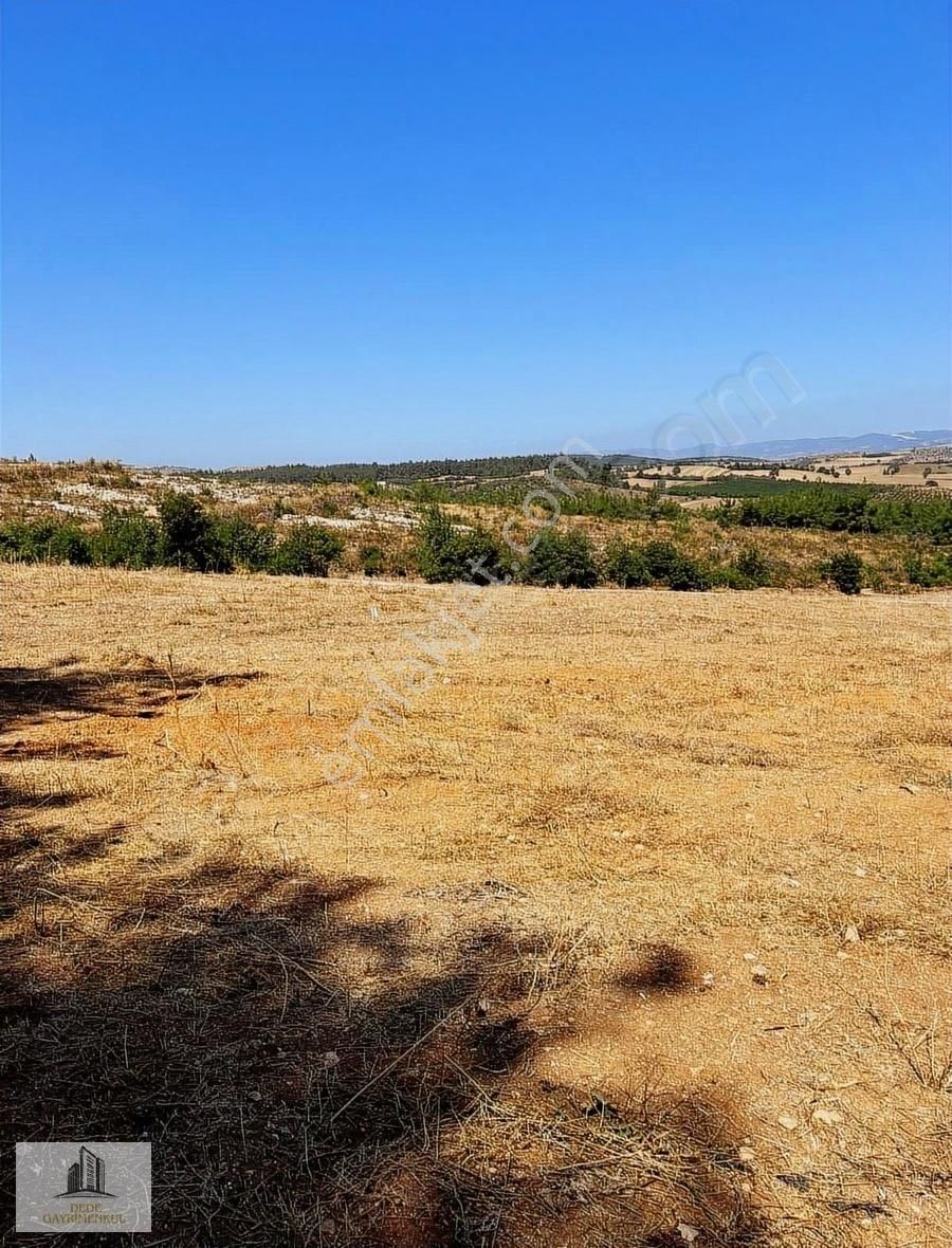Yenişehir Günece Mahallesinde Satılık Hobi Bahçesi