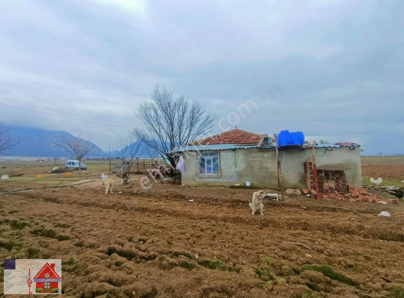 Kaçırılmaz Fırsat! Hazır Çiftlik Yatırıma Ve Hayvancılığa H