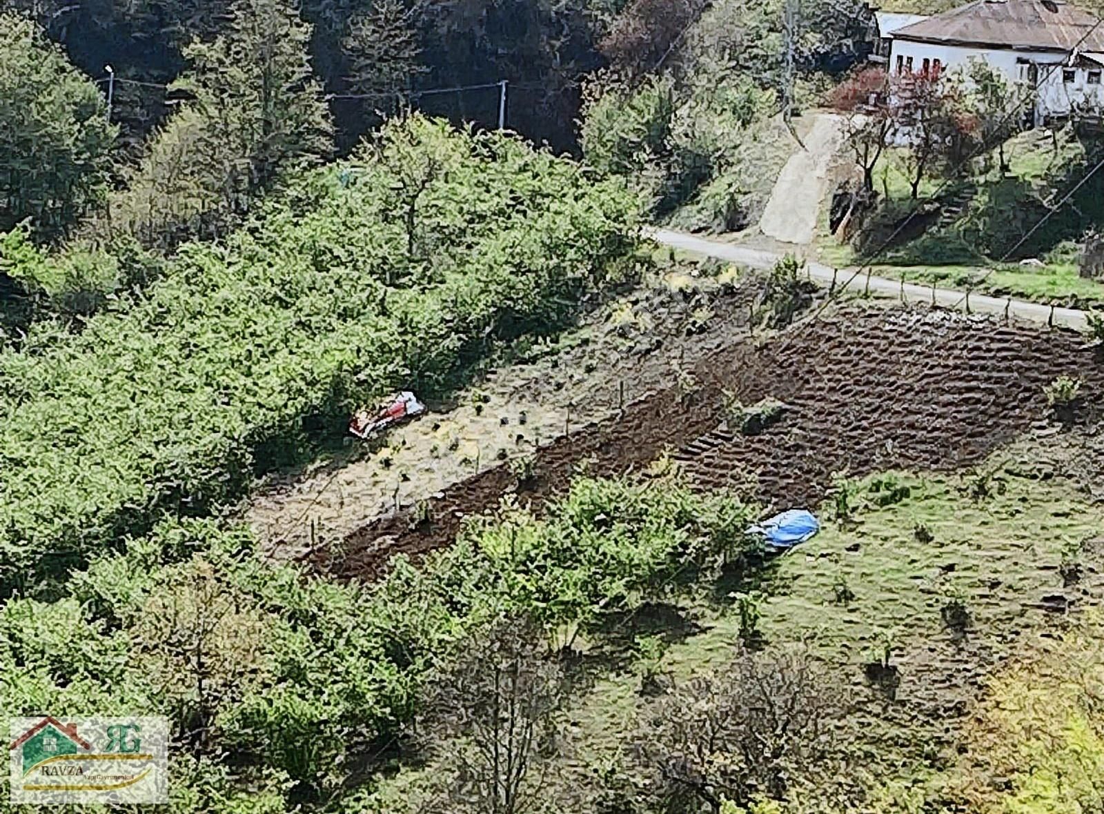 Ravza Yapı Gayrimenkulden Doğancay Da Satılık Arazi