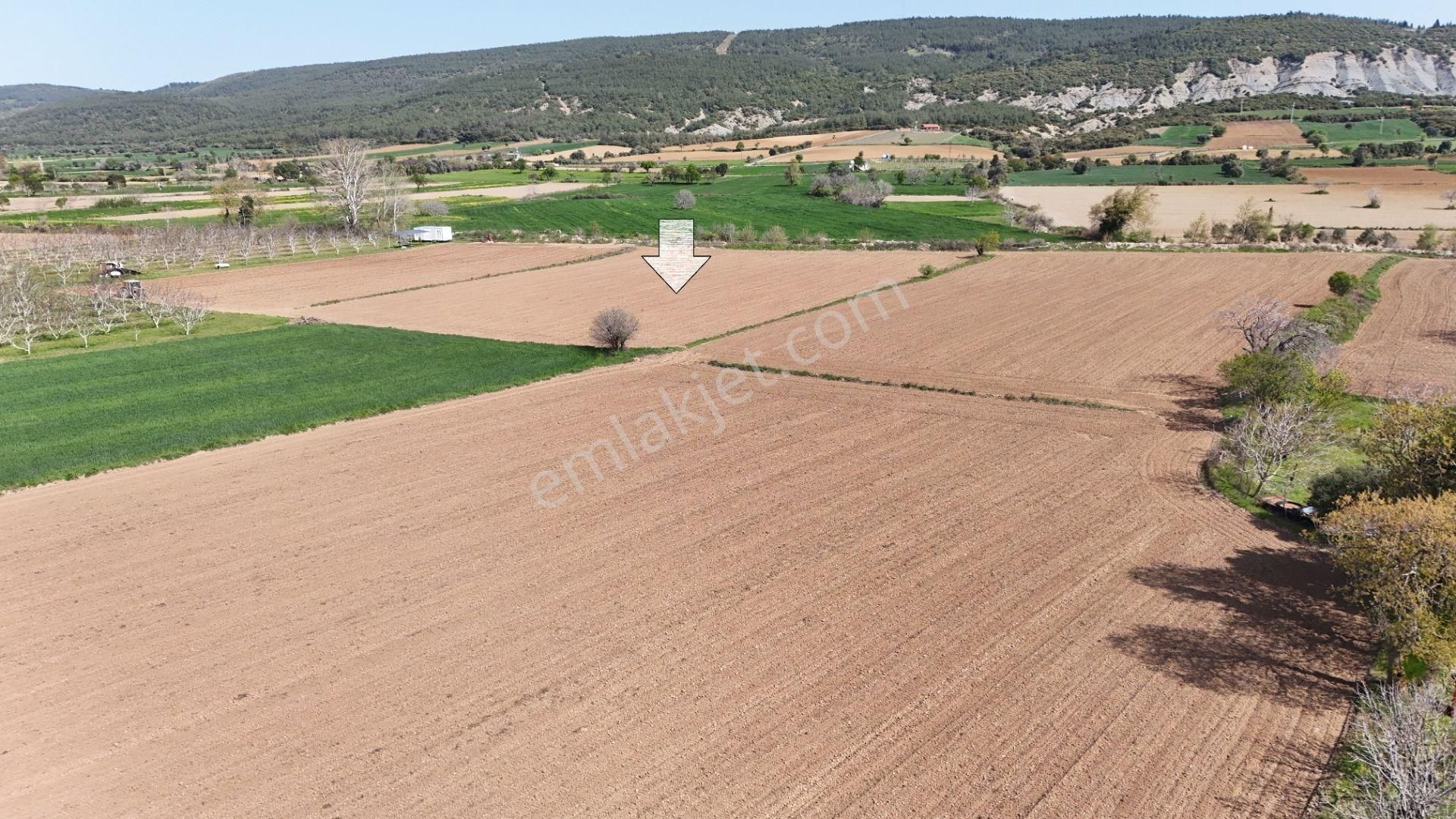Gelibolu Karainebeyli Köyünde 6300 M2 Satılık Tarla