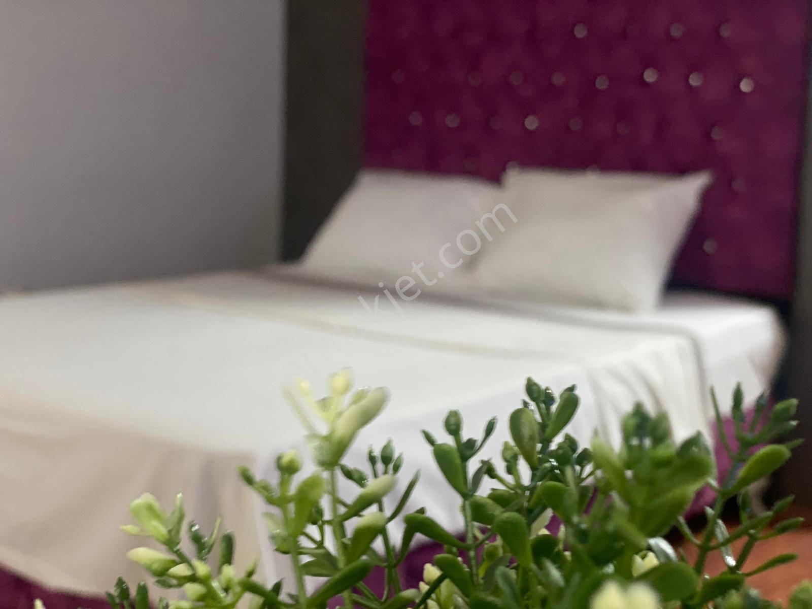 Turizm Bakanlıgı Onaylı Hope Otel - Görsel 4