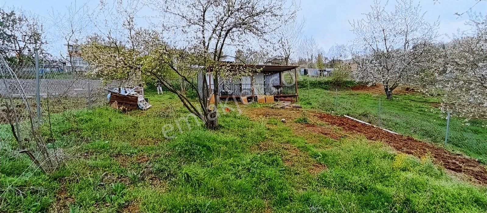 Kestel Lütfiye'de 585 M2 Konteynırı Hazır Fırsat Satılık Arsa