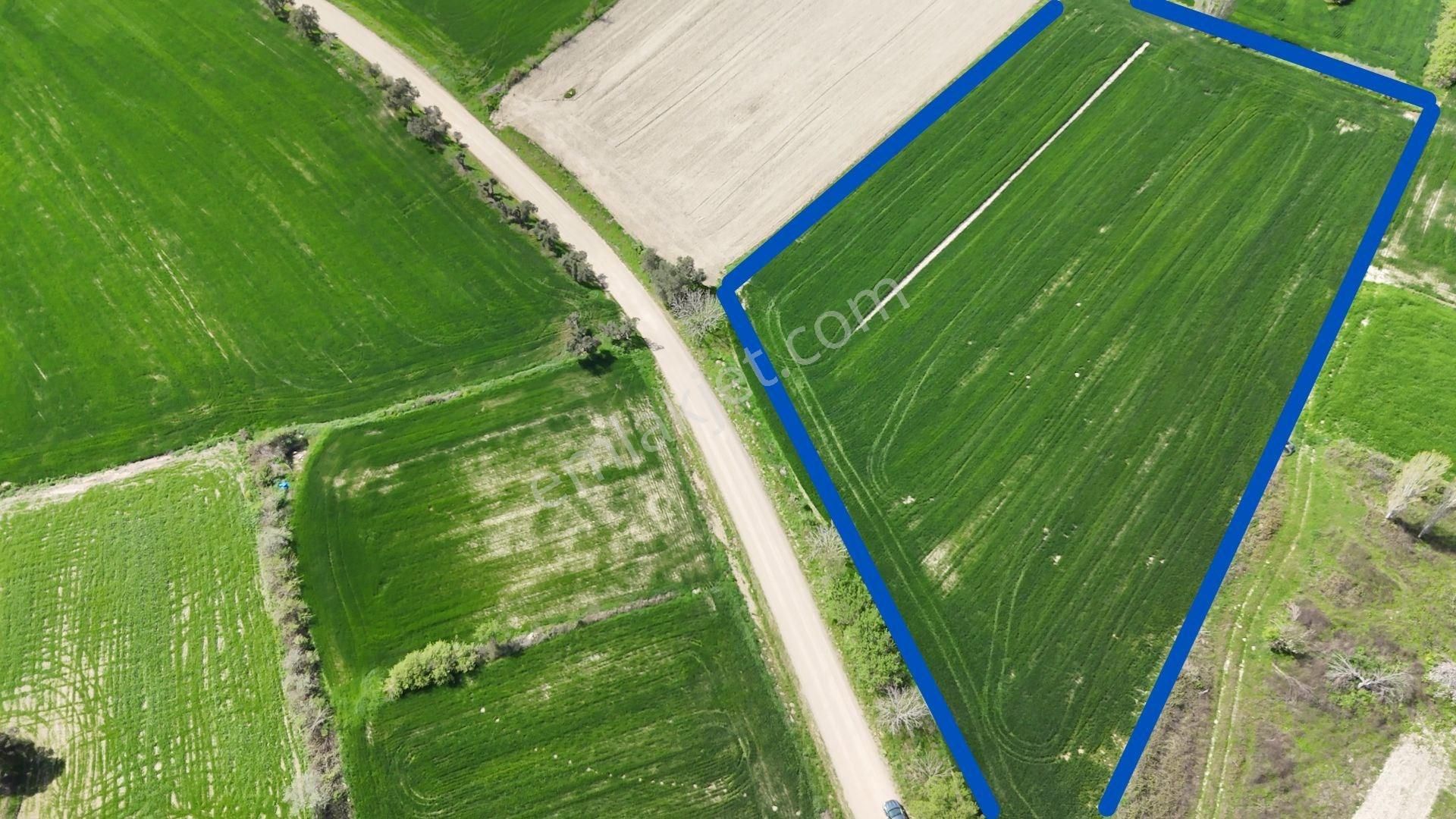 Çanakkale Gelibolu Karainebeyli 8950 M2 Tarla