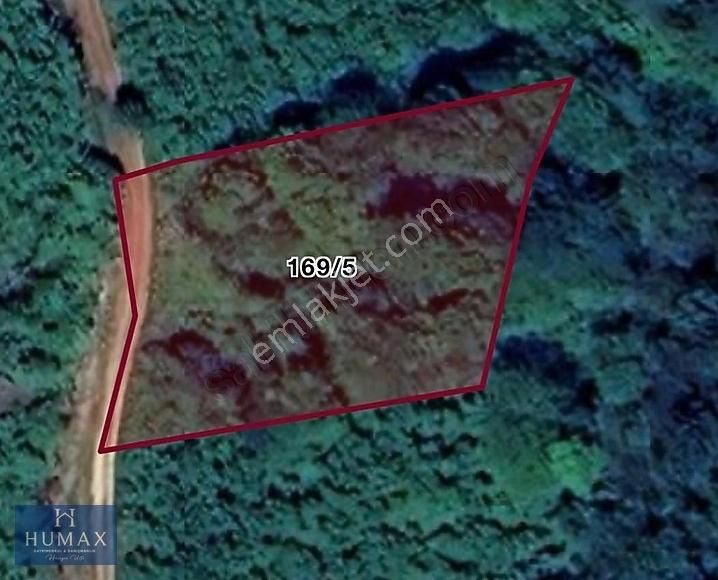 Erikliman Köyü 1726m2 Satılık Fındık Bahçesi