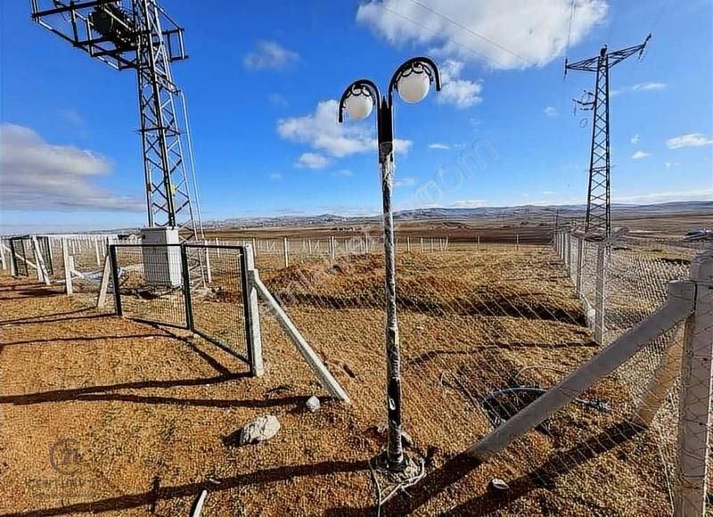 Gökçehöyükte Otoban Kenarı Hobi Bahçesi