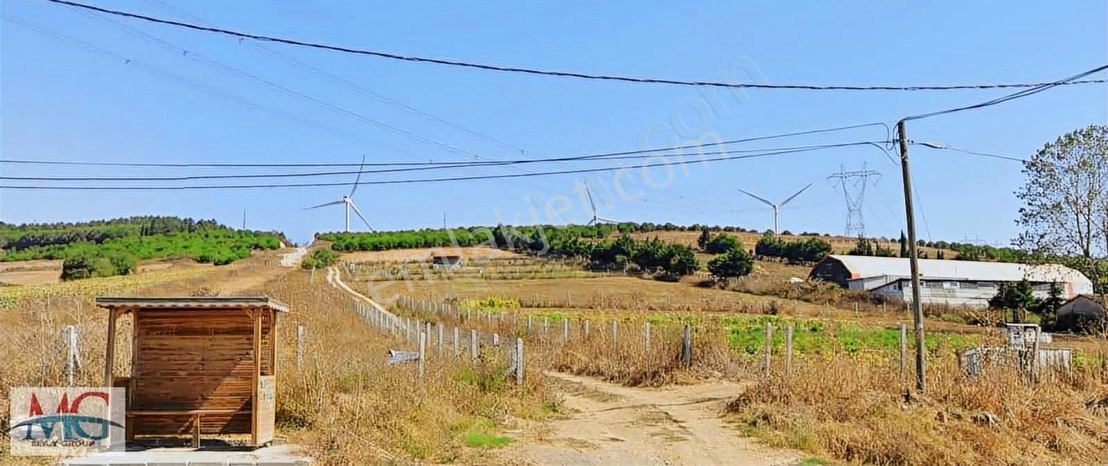 Acil İhtiyaçtan Caddeye Cephe Köy İçerinde İmara Yakın Tarla - Görsel 3