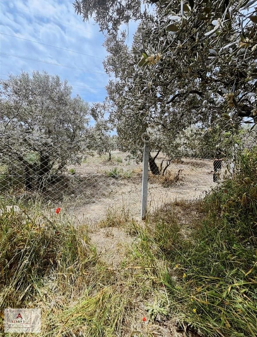 Atakul Gyo Dan Yukarıyapıcıda 865 M2 Satılık Tarla