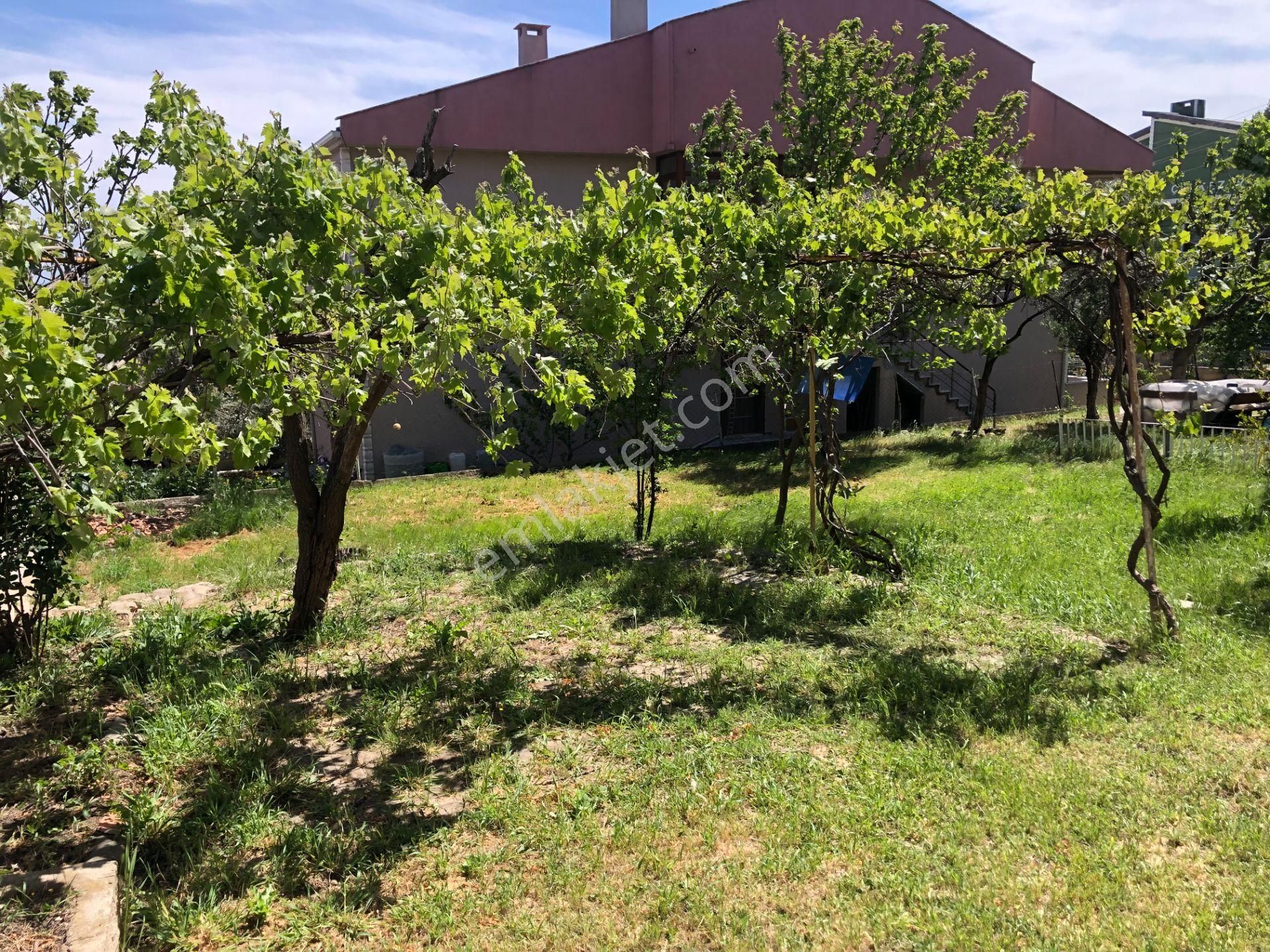 Şarköy De Işık Emlaktan Camikebir Mah De 6+1 150 M2 Mustakil Villa - Görsel 29