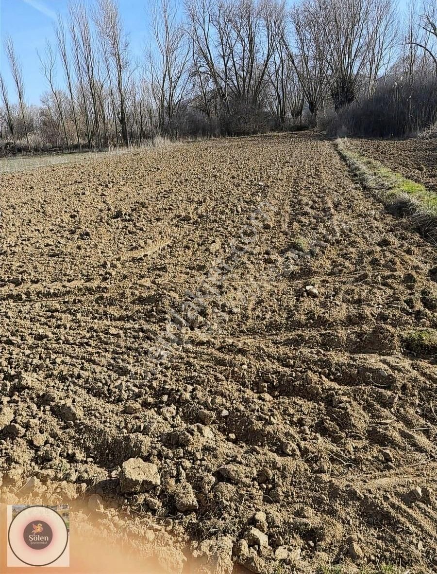Kütahya Merkez Parmak Ören Mahallesi Mde Satılık Yatla