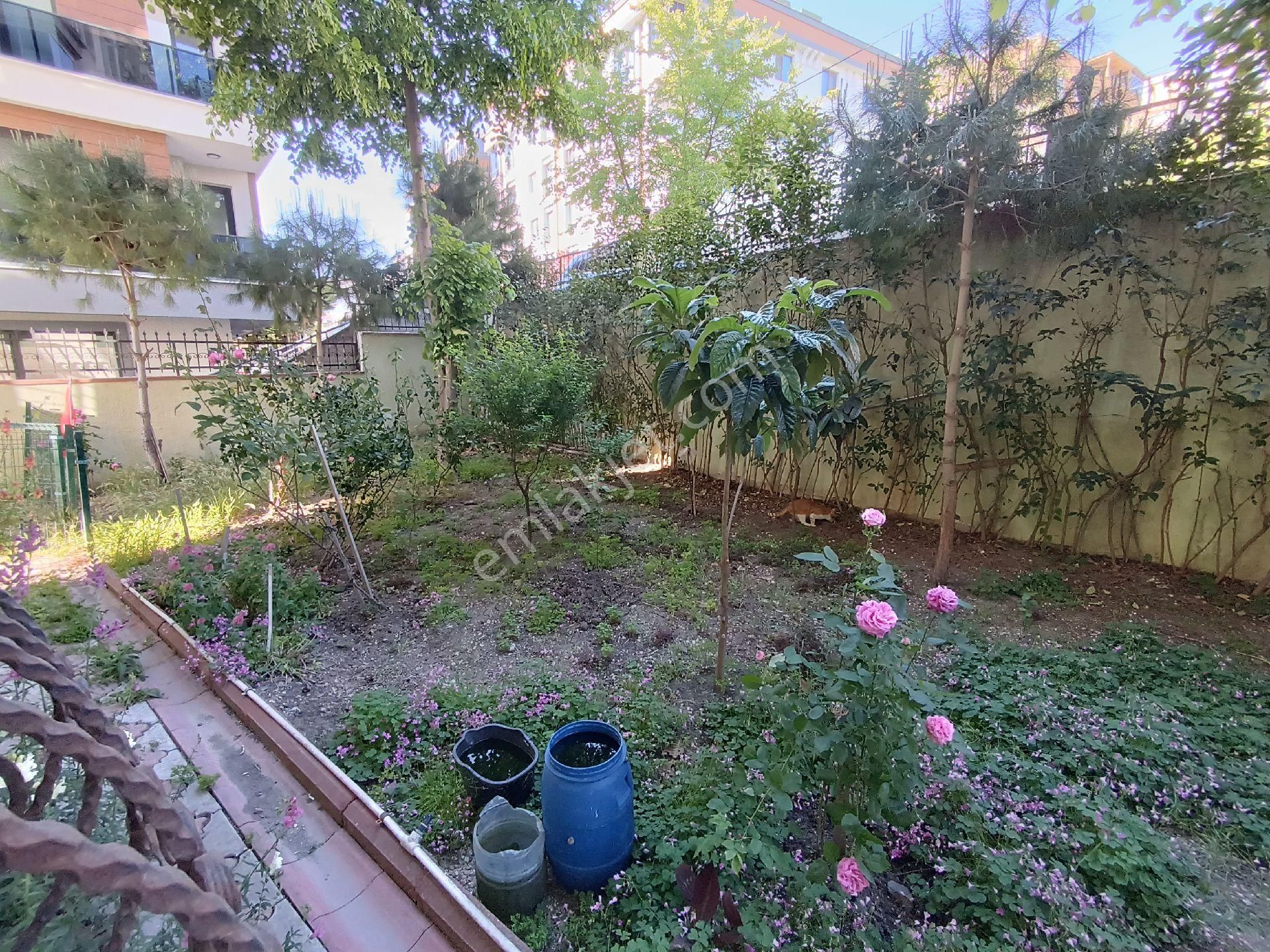 Beylikdüzü Dereağzı Mahallesi 1+1 Giriş Daire