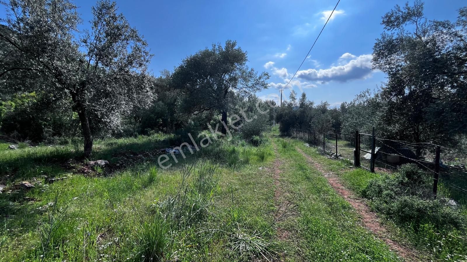 Stop’tan Göcek'te 3443m² %5 İmar Yol Su Elektrik Önünde Göcek 7km Satılık - Görsel 2