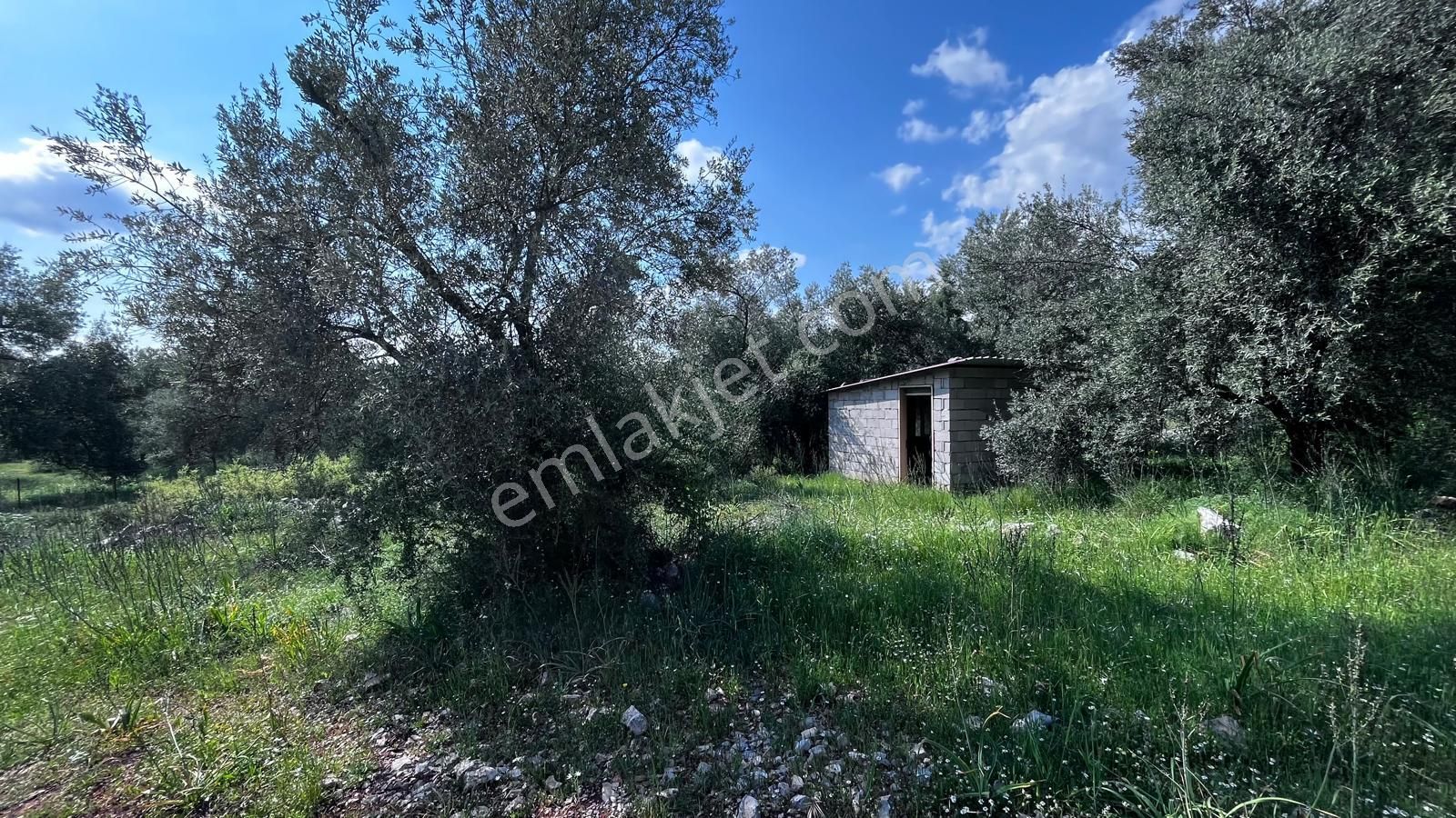 Stop’tan Göcek'te 3443m² %5 İmar Yol Su Elektrik Önünde Göcek 7km Satılık - Görsel 10