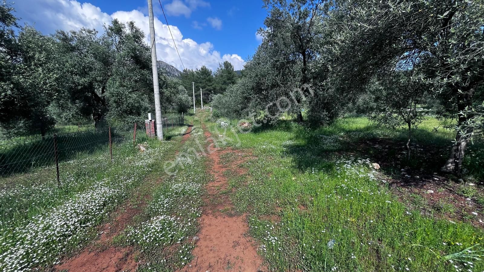 Stop’tan Göcek'te 3443m² %5 İmar Yol Su Elektrik Önünde Göcek 7km Satılık - Görsel 5